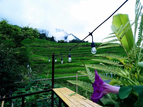 a view of a rice field with lights in front at Surelee Homestay in Sa Pa
