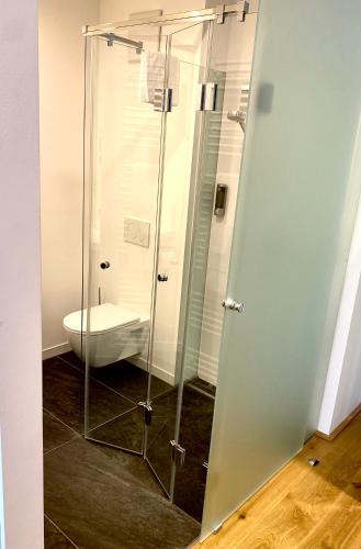 a bathroom with a glass shower with a toilet at Hotel Wallern Garni in Wallern an der Trattnach