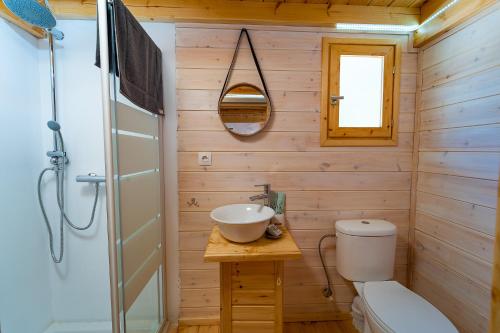 a bathroom with a sink and a toilet and a shower at Thalassa Green in Agios Nikolaos