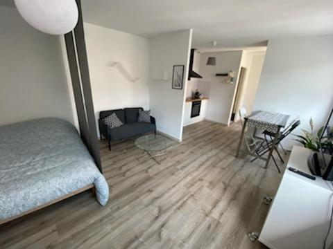 une chambre avec un lit et un salon dans l'établissement Bel appartement avec micro ext et parking privé, à Clermont-Ferrand