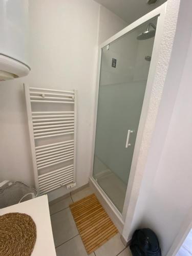 La salle de bains est pourvue d'une douche et d'une douche vitrée. dans l'établissement Bel appartement avec micro ext et parking privé, à Clermont-Ferrand