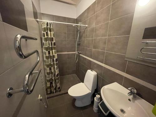 La salle de bains est pourvue de toilettes, d'un lavabo et d'une douche. dans l'établissement Namelis prie jūros, à Palanga