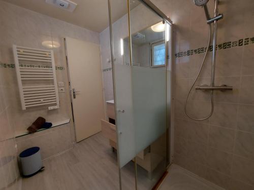 a bathroom with a shower with a glass door at Centre St Jorioz : Charmant et spacieux studio avec terrasse et jardin privatif in Saint-Jorioz