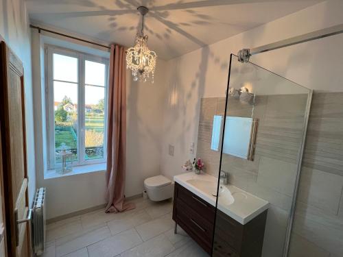 a bathroom with a sink and a toilet and a chandelier at Château Ségot in Neuilly-le-Réal