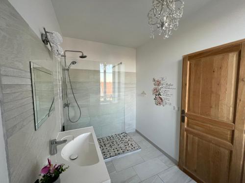 a bathroom with a shower and a sink and a door at Château Ségot in Neuilly-le-Réal