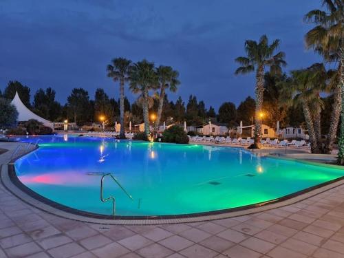 uma grande piscina à noite com palmeiras em camping la carabasse em Vias