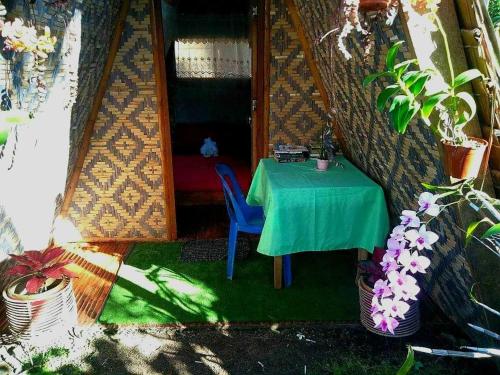 uma tenda com uma mesa, uma cadeira e plantas em SHUKRAN Apartelle em Siquijor
