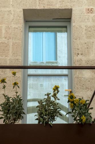 a window with two potted plants in front of it at PIANELLE RESORT in Matera