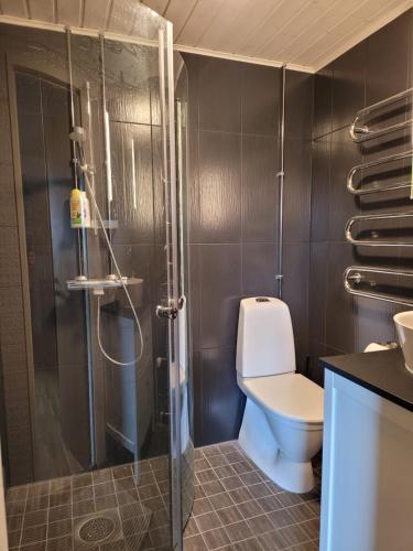 a bathroom with a toilet and a shower at Niittyvilla Apartments in Jämsä