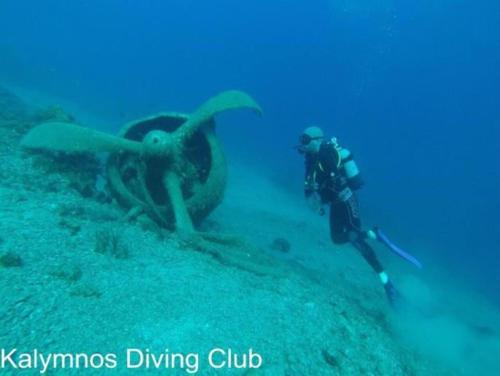 a diver in the ocean next to an octopus at poets apertment in armeos masouri in Masouri