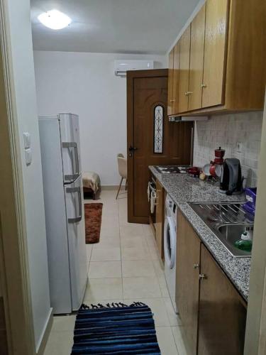 a kitchen with a white refrigerator and a sink at poets apertment in armeos masouri in Masouri