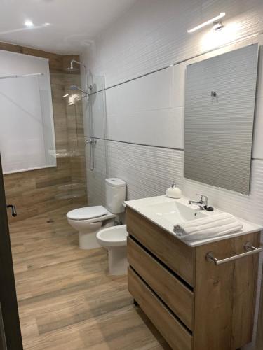a bathroom with a toilet and a sink and a mirror at Vivienda Turística Rural Casa Irene in Segura de la Sierra