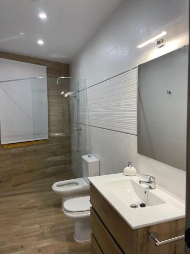 bagno con lavandino, servizi igienici e specchio di Vivienda Turistica Alojamiento Rural CASA IRENE II a Segura de la Sierra