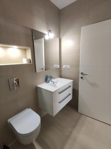 a bathroom with a white toilet and a sink at Apartman-studio, Salamunic, Pelinje, Jelsa in Jelsa