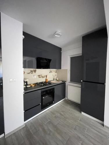 SHoliday Central Open space modern cu parcare gratuită în Timișoara 주방 또는 간이 주방