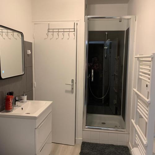 Le Mans Appartement emplacement Idéal Gare Circuit des 24 h