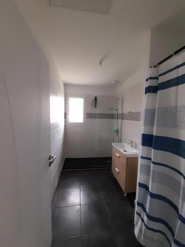 baño con lavabo y cortina de ducha en Maison Aureilhan Mimizan Landes, en Aureilhan