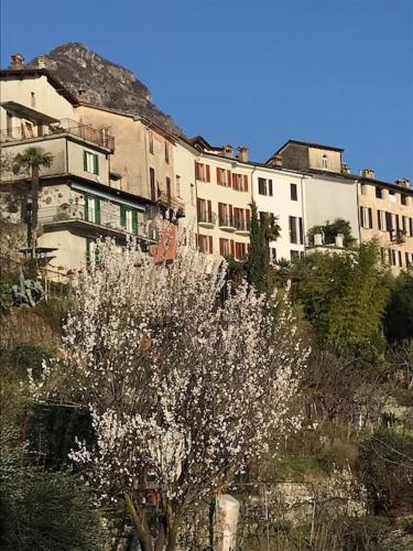 Γενική θέα στο βουνό ή θέα στο βουνό από  αυτή η βίλα