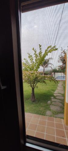 Κήπος έξω από το La Finca III