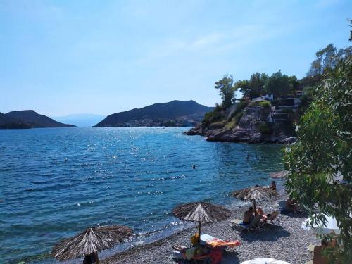 Φυσικό τοπίο κοντά σε αυτό το διαμέρισμα