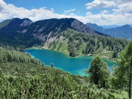 Greiner's Ferienzimmer Tauplitz a vista de pájaro