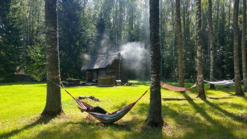 a person laying in a hammock in a forest at Aasa Holiday Homes in Kärsu