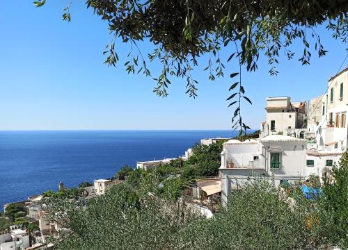 a view of the ocean from a hill with houses at Emerald's Resort - Filomena in Conca dei Marini