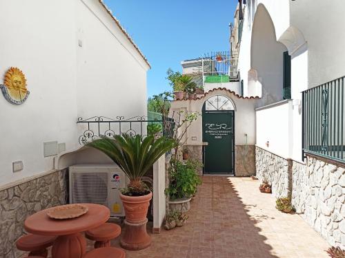 an alley with a table and a plant in front of a building at Emerald's Resort - Filomena in Conca dei Marini