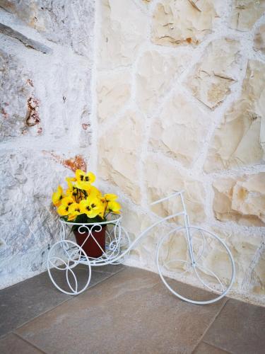 House Natalija – Photos 2