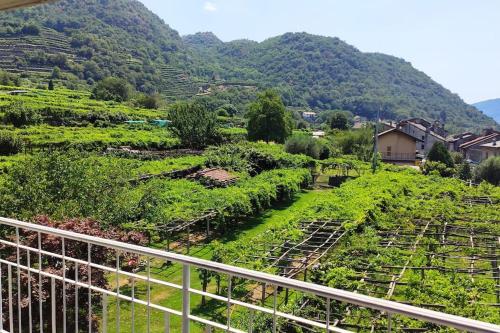 a view of a farm with mountains in the background at La casa dei nonni 3,0 in Carema