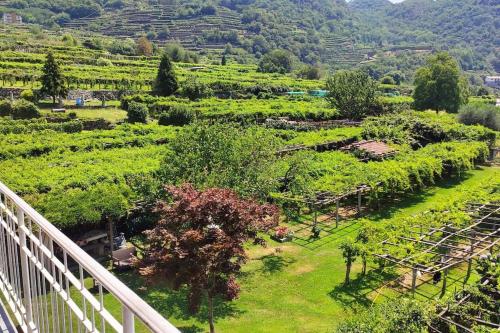 a view of a garden with trees and bushes at La casa dei nonni 3,0 in Carema
