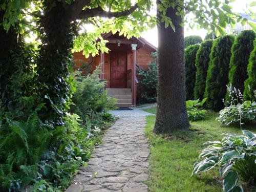 a path leading to a house with a tree at Agroturystyka ZIELONA ZAGRODA w Kosztowej in Dubiecko