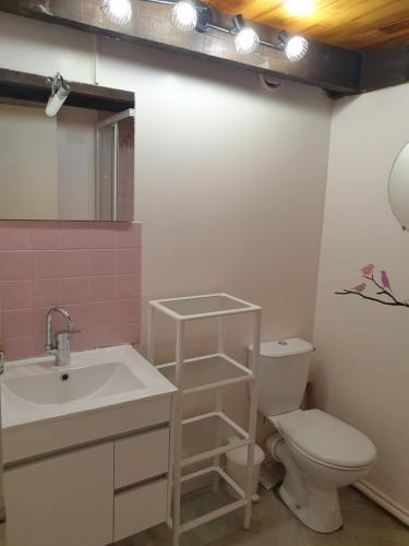 ein Badezimmer mit einem weißen WC und einem Waschbecken in der Unterkunft Duplex 46m2 in Saint-Jean-Saint-Nicolas