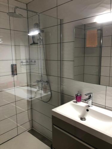 une salle de bain avec un lavabo et une douche avec un miroir dans l'établissement LE PORTA 9 N°2, à Albi