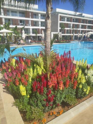 a garden of colorful flowers in front of a swimming pool at RELAX&DREAM apartment Long Beach in Saint Yeorgios