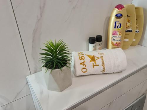 a white shelf with a plant and a roll of paper towels at Oasis Titova vila in Palisad