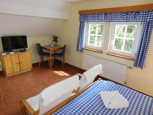 a room with a bed and a table and a tv at Vila Eden in Pec pod Sněžkou