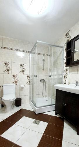 a bathroom with a shower and a toilet and a sink at Casa Eduard in Eforie Sud