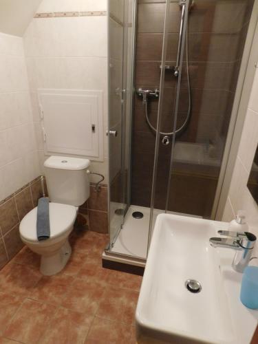 a bathroom with a toilet and a shower and a sink at Vila Eden in Pec pod Sněžkou