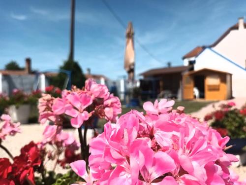 a bunch of pink flowers in front of a house at Penzion u Karla in Jamolice