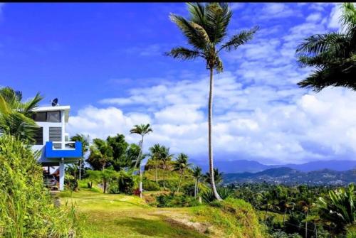 a house on top of a hill with palm trees at Swim & Paint Art Retreat in Las Piedras