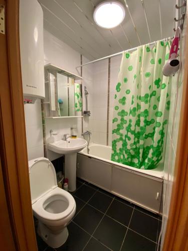 a bathroom with a toilet and a sink and a shower at Apartment on Abazgaa in Gagra