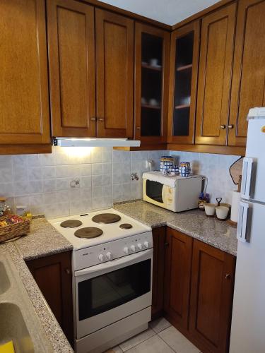 a kitchen with a stove and a microwave at La Casa De Vacation in Lafkos