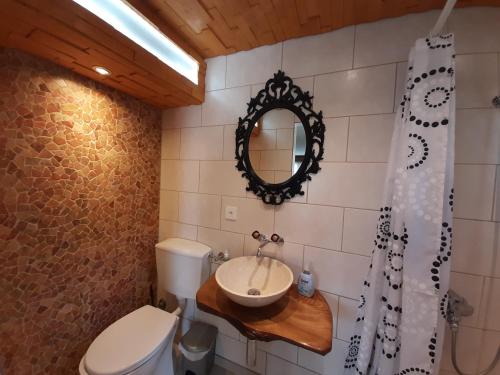 ein Badezimmer mit einem Waschbecken, einem WC und einem Spiegel in der Unterkunft Chalet apartment by Interlaken. Parking in Ringgenberg