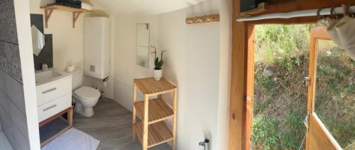 a bathroom with a toilet and a sink and a window at Le pérussier in Châteauvieux