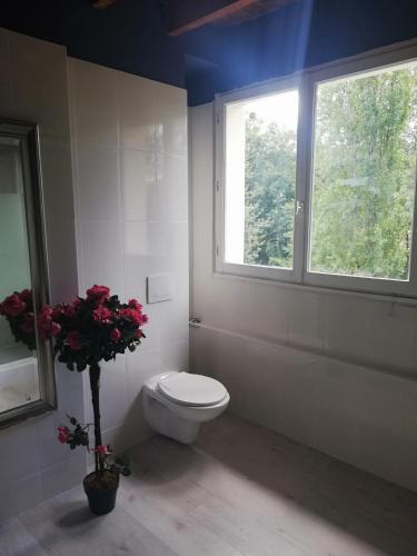 une salle de bain avec toilettes et fenêtre dans l'établissement Chambre d'hôte Moulin du Breuil., à Pionnat