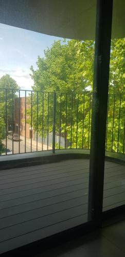 a window with a view of a tree at Jadwin Beautiful Room Share toilet 2 people in London