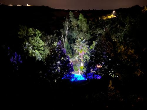 a night view of a garden with purple lights at Quinta do Vale Encantado "the Valley" - Santarém - Portugal in Calhariz