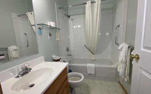 een badkamer met een wastafel, een toilet en een douche bij NEWCASTLE COUNTRY INN in Drumheller