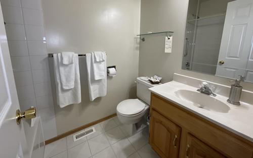 een badkamer met een toilet, een wastafel en een spiegel bij NEWCASTLE COUNTRY INN in Drumheller